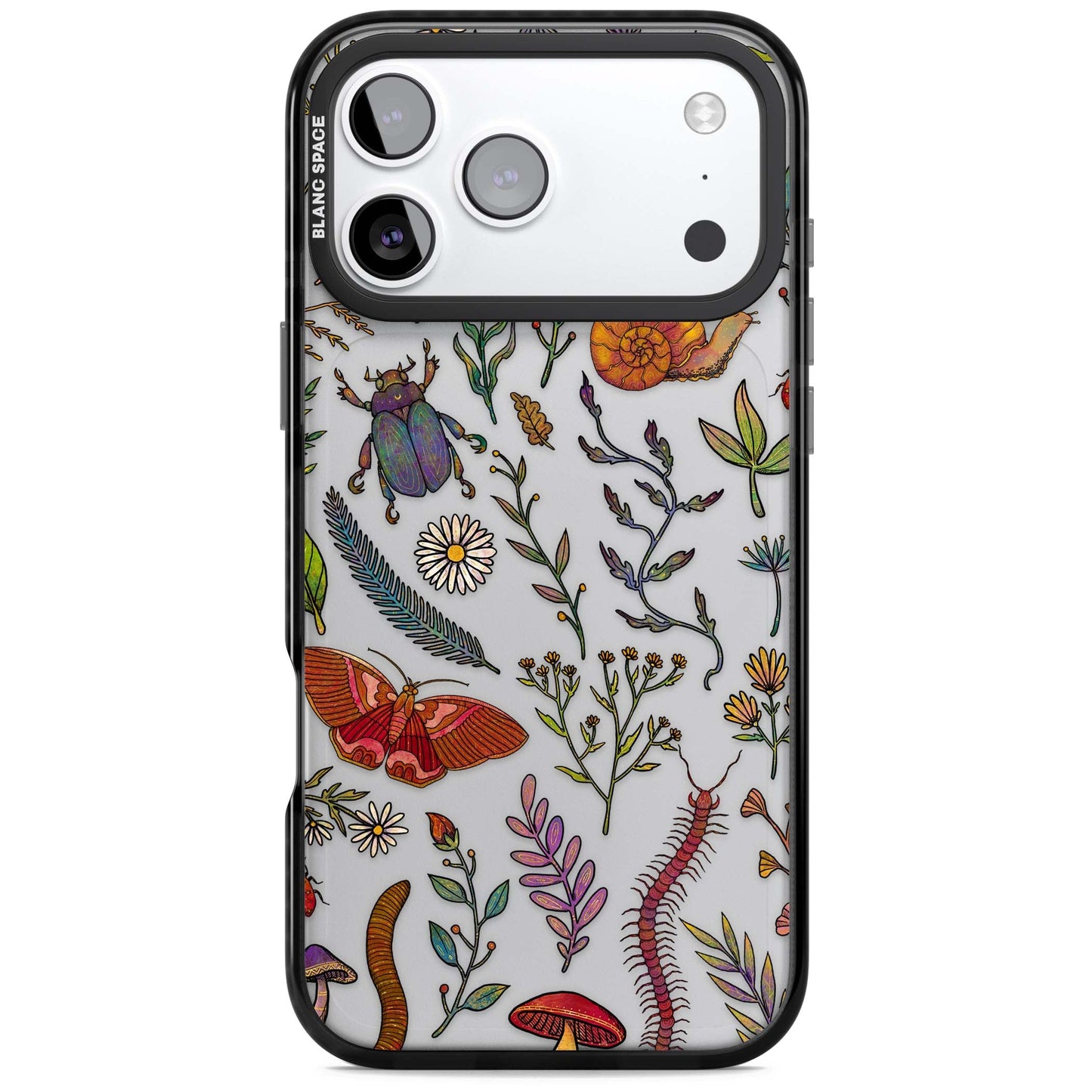 Insectes et fleurs sauvages