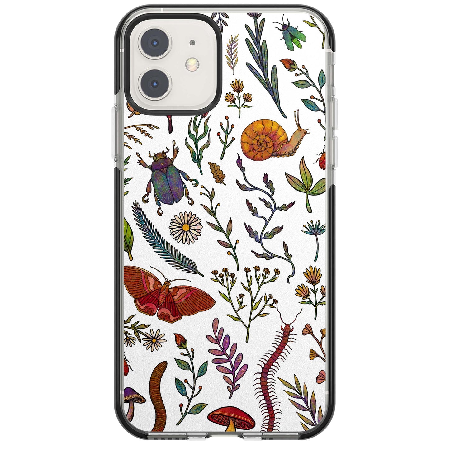 Insectes et fleurs sauvages