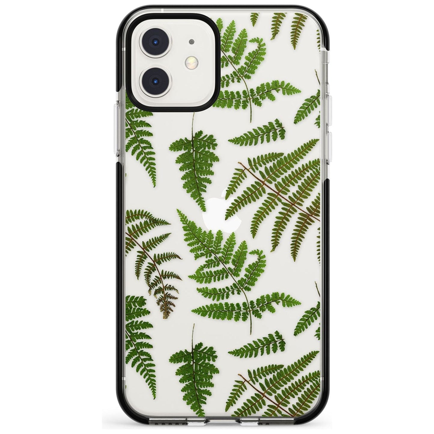Leafy Ferns