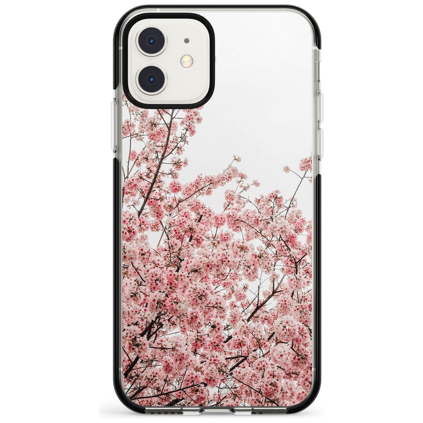 Cherry Blossom Bloom