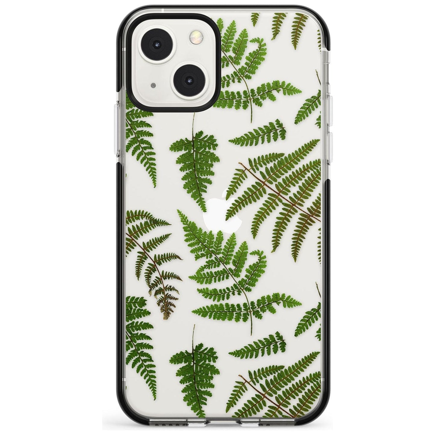 Leafy Ferns