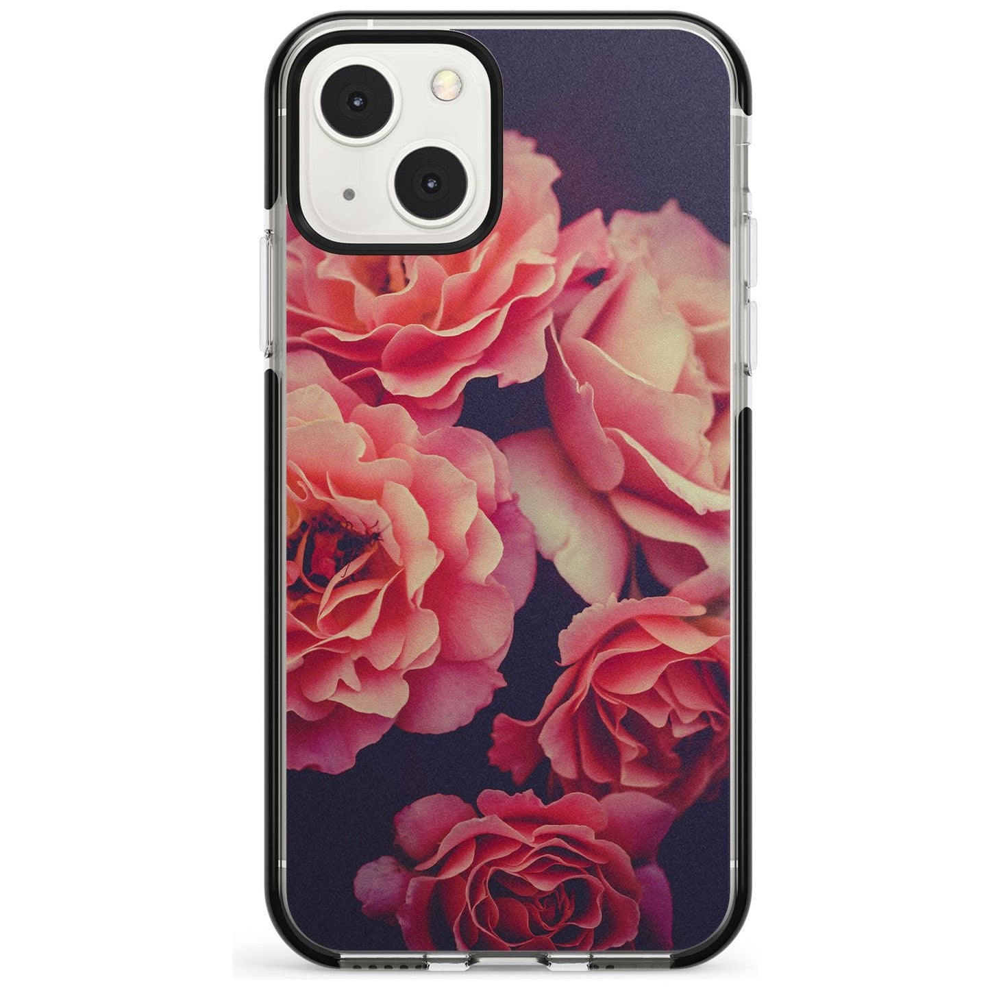 Mitternachtsrosenblüte