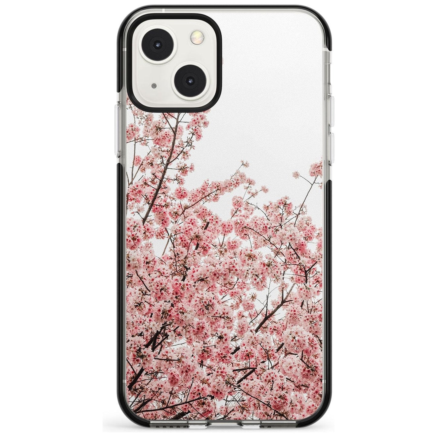 Cherry Blossom Bloom