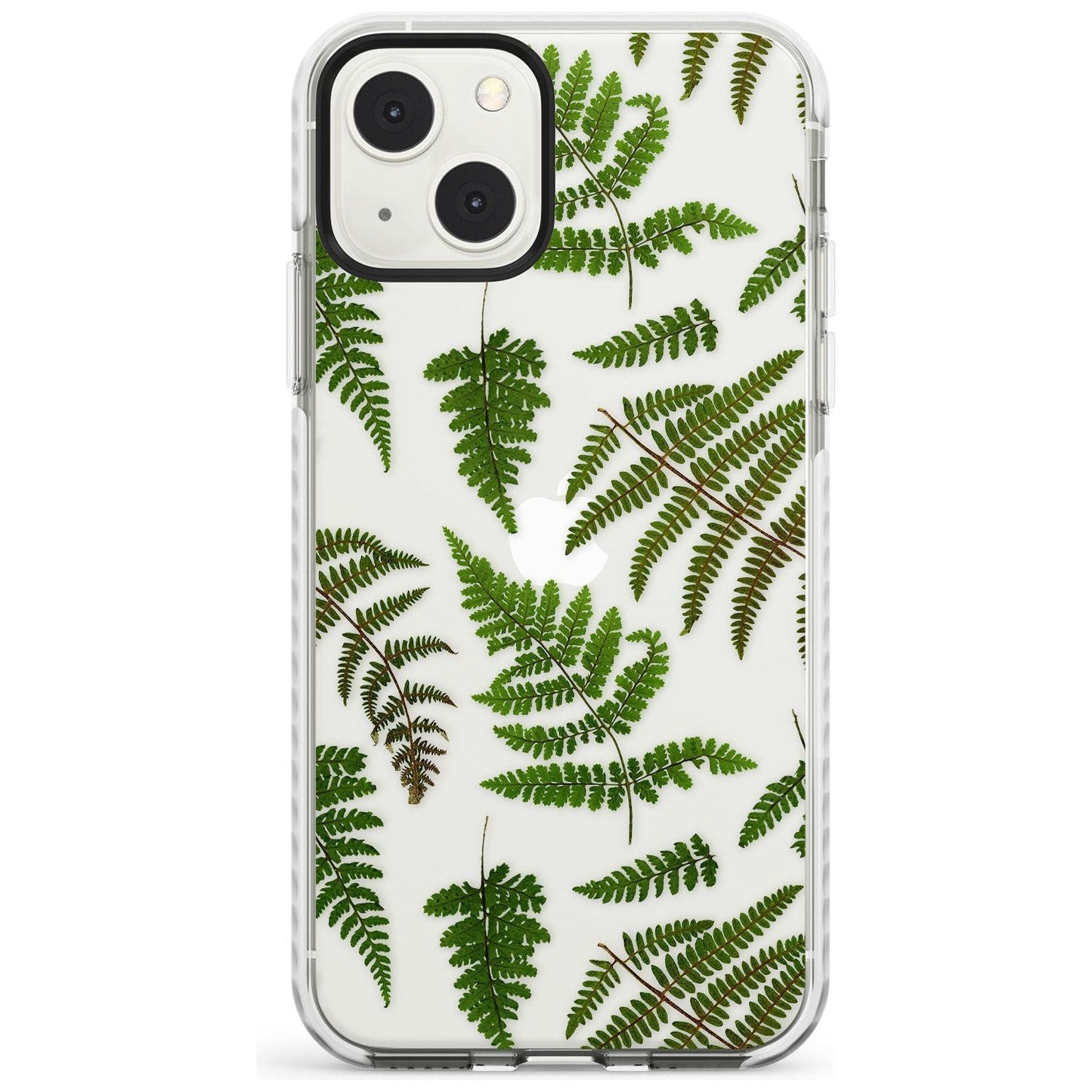 Leafy Ferns