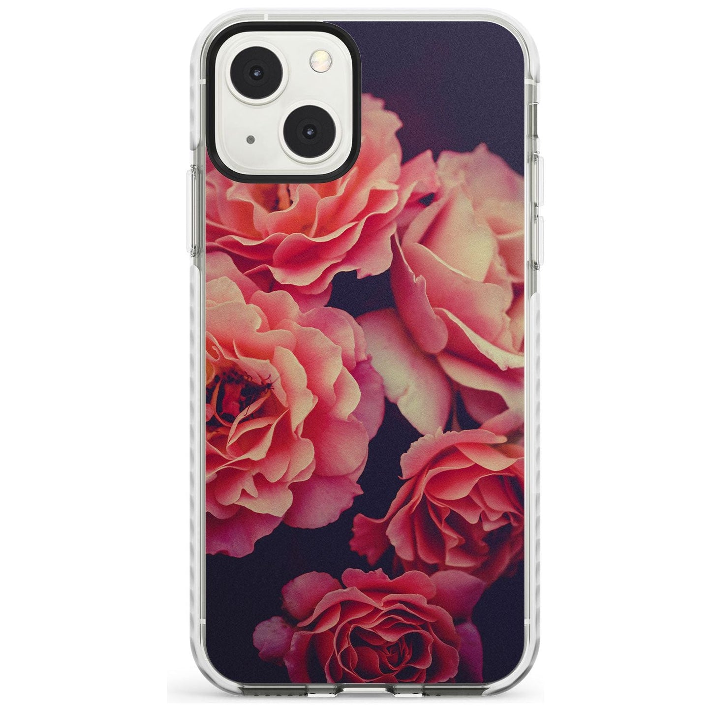 Mitternachtsrosenblüte