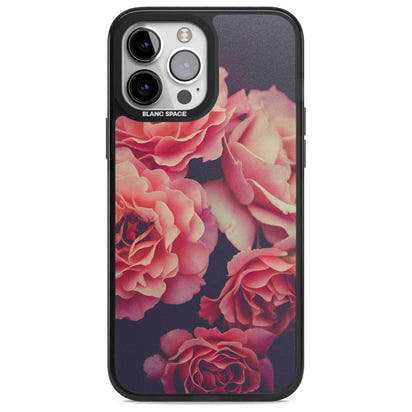 Mitternachtsrosenblüte