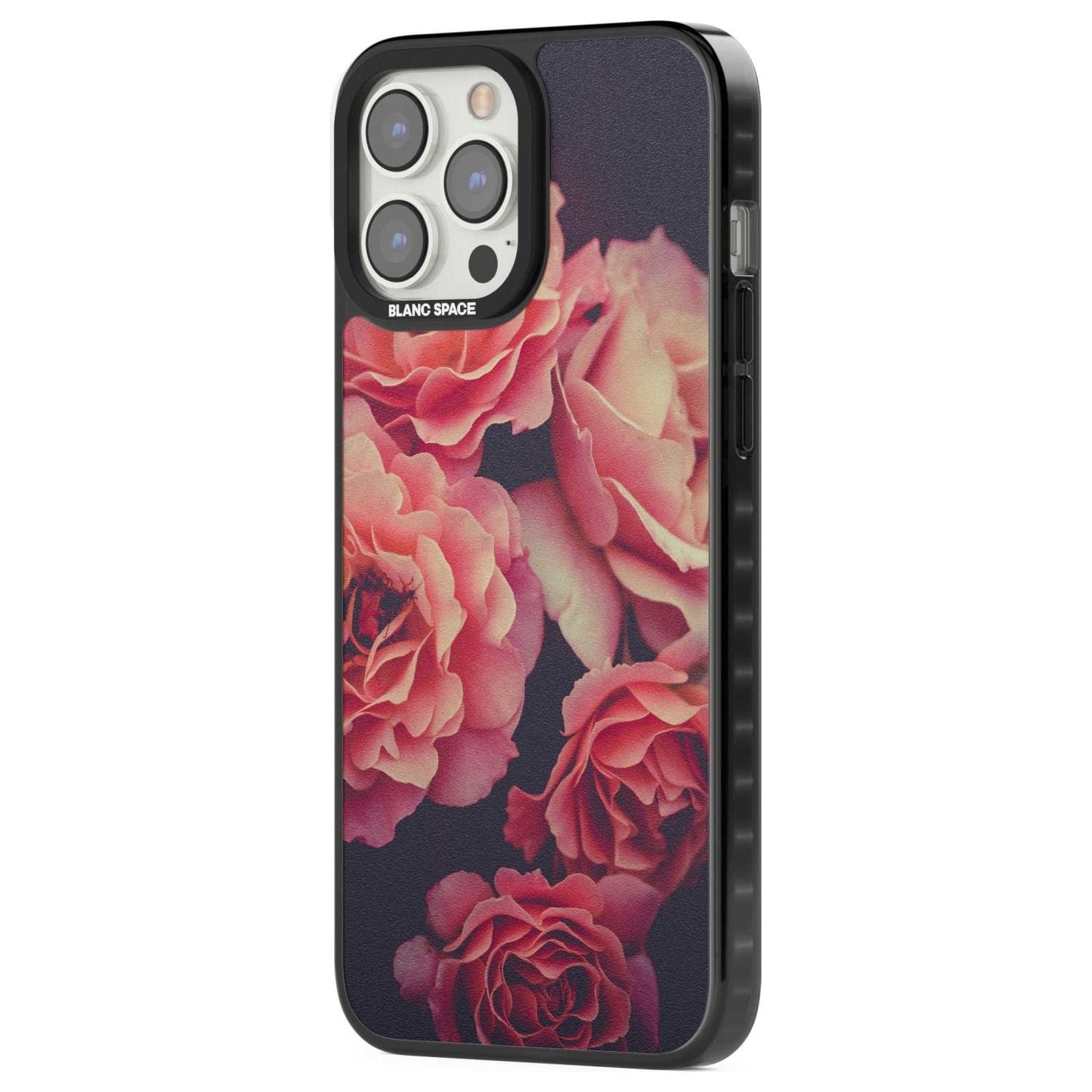 Mitternachtsrosenblüte