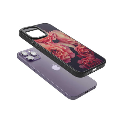 Mitternachtsrosenblüte