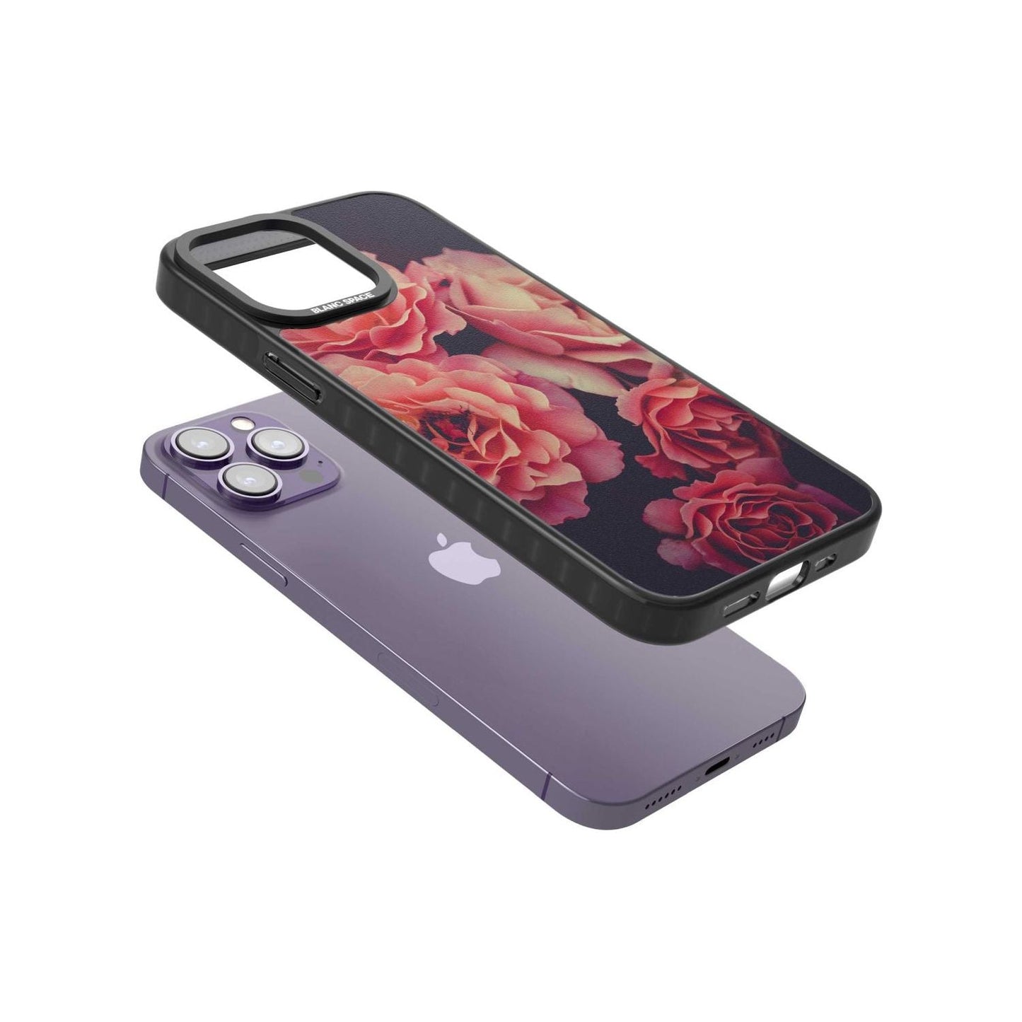 Mitternachtsrosenblüte