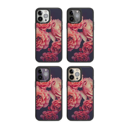 Mitternachtsrosenblüte