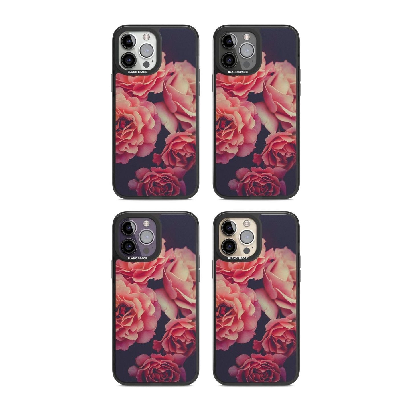 Mitternachtsrosenblüte