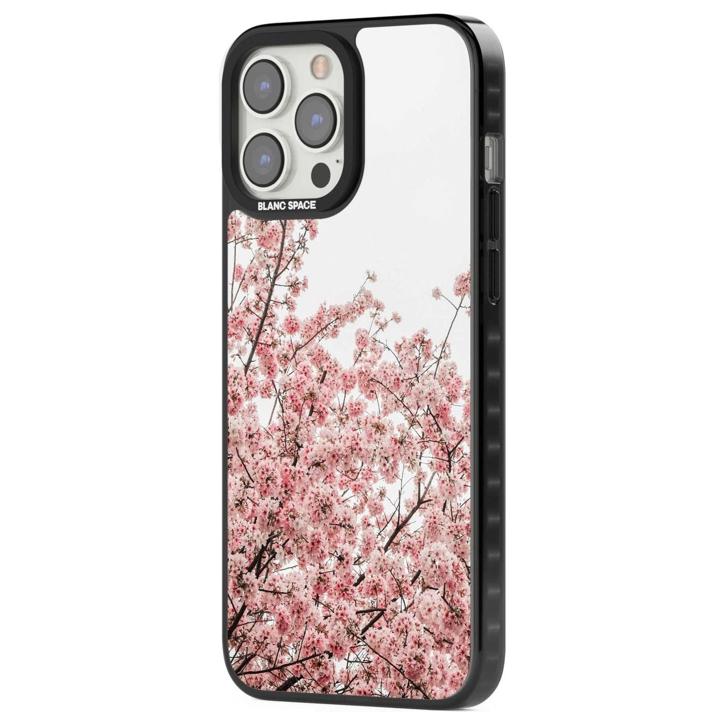 Cherry Blossom Bloom