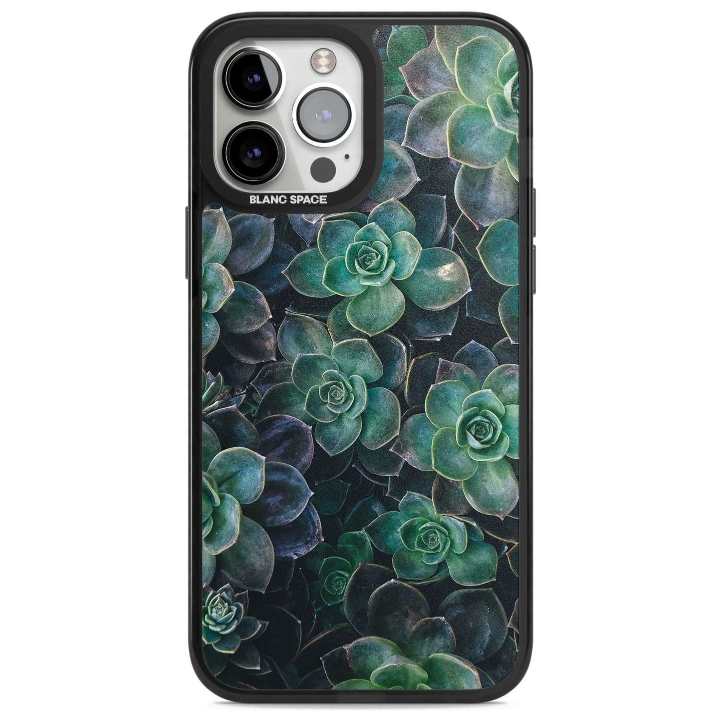 Succulent Bloom Botanical