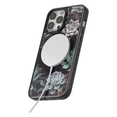 Succulent Bloom Mixed