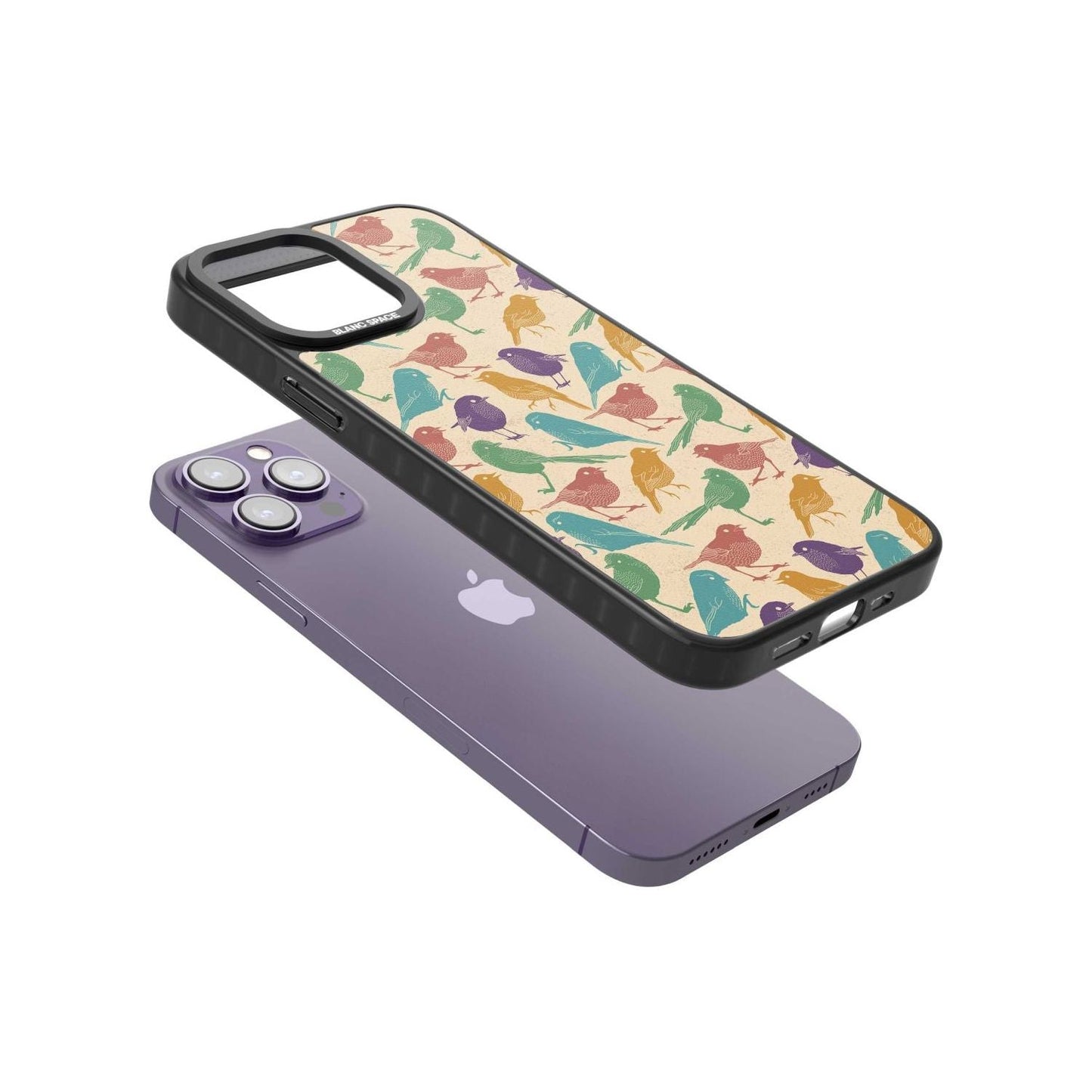 Colorful Feathered Friends