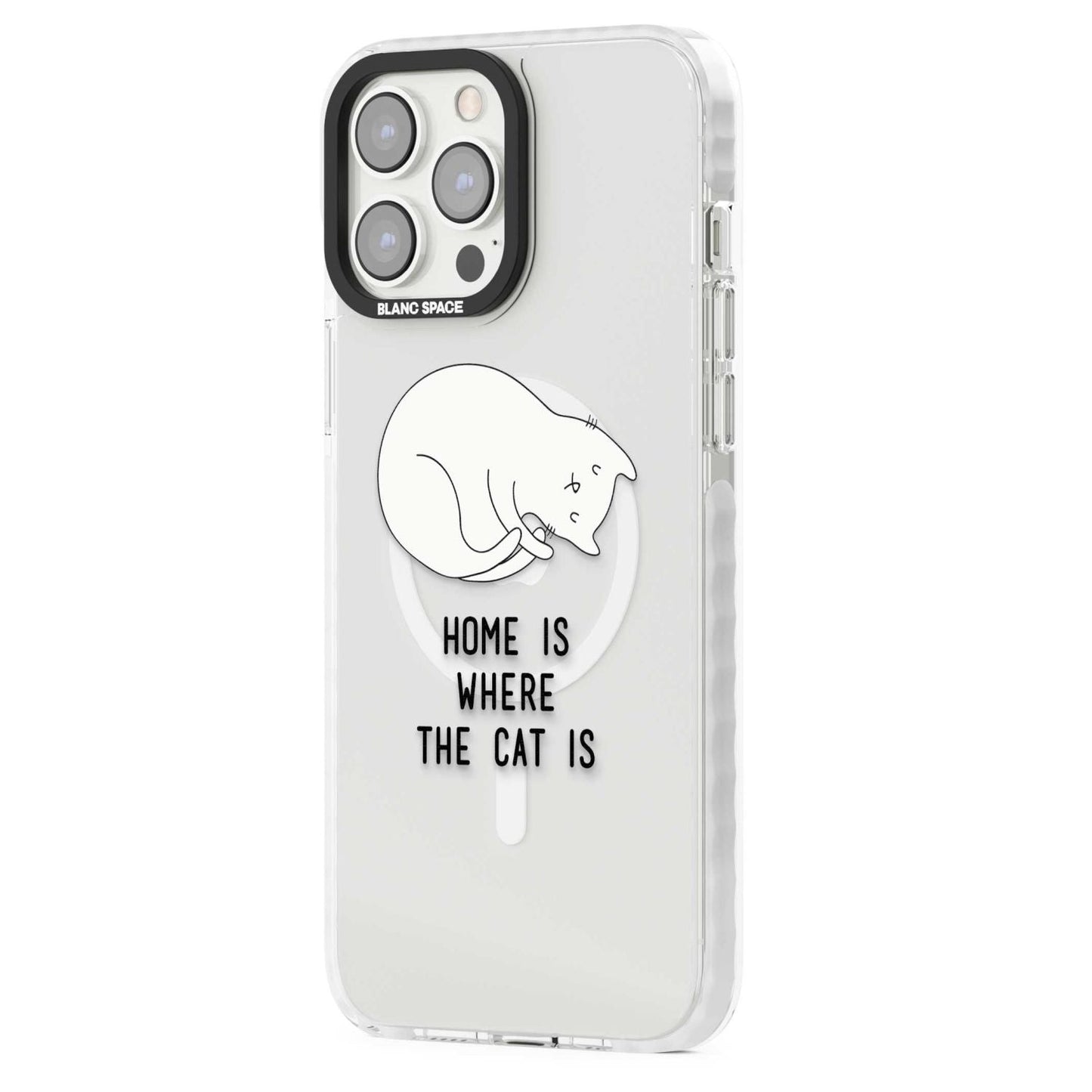 Home Is Where The Cat Is