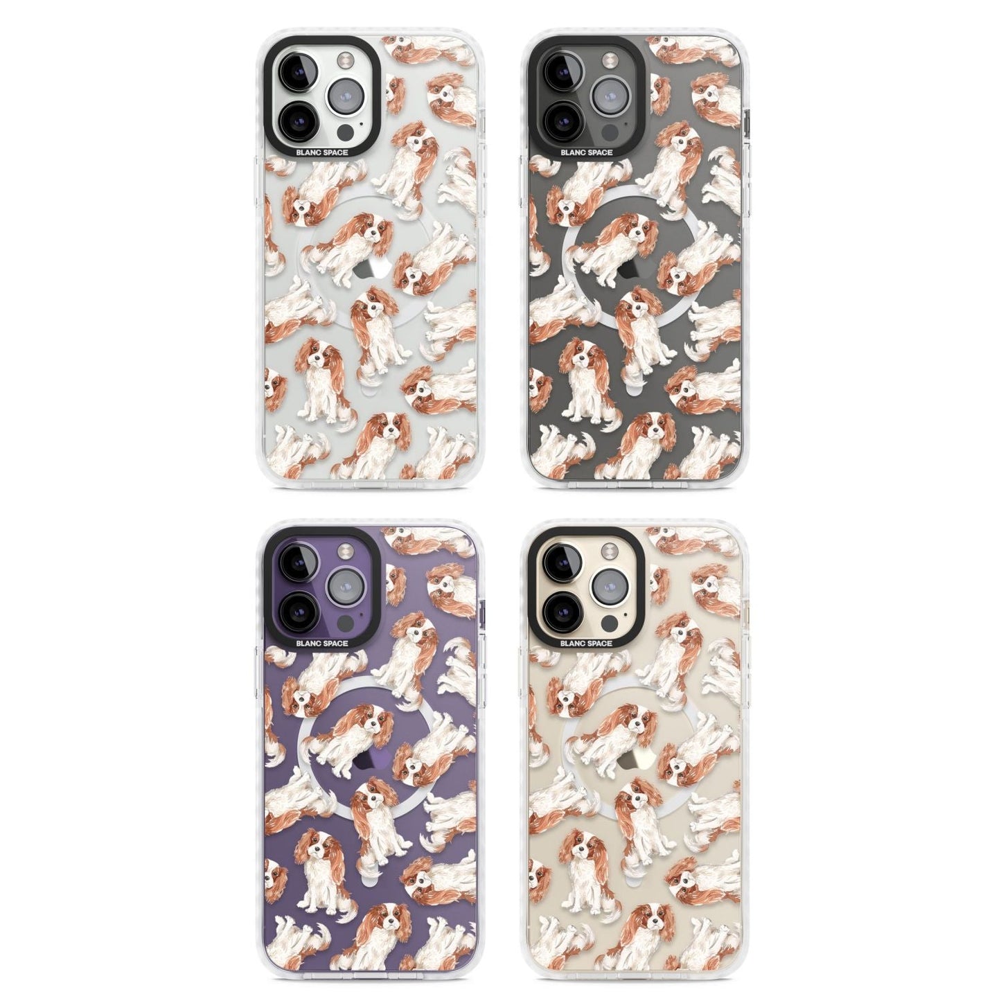 Cavalier King Charles Spaniel