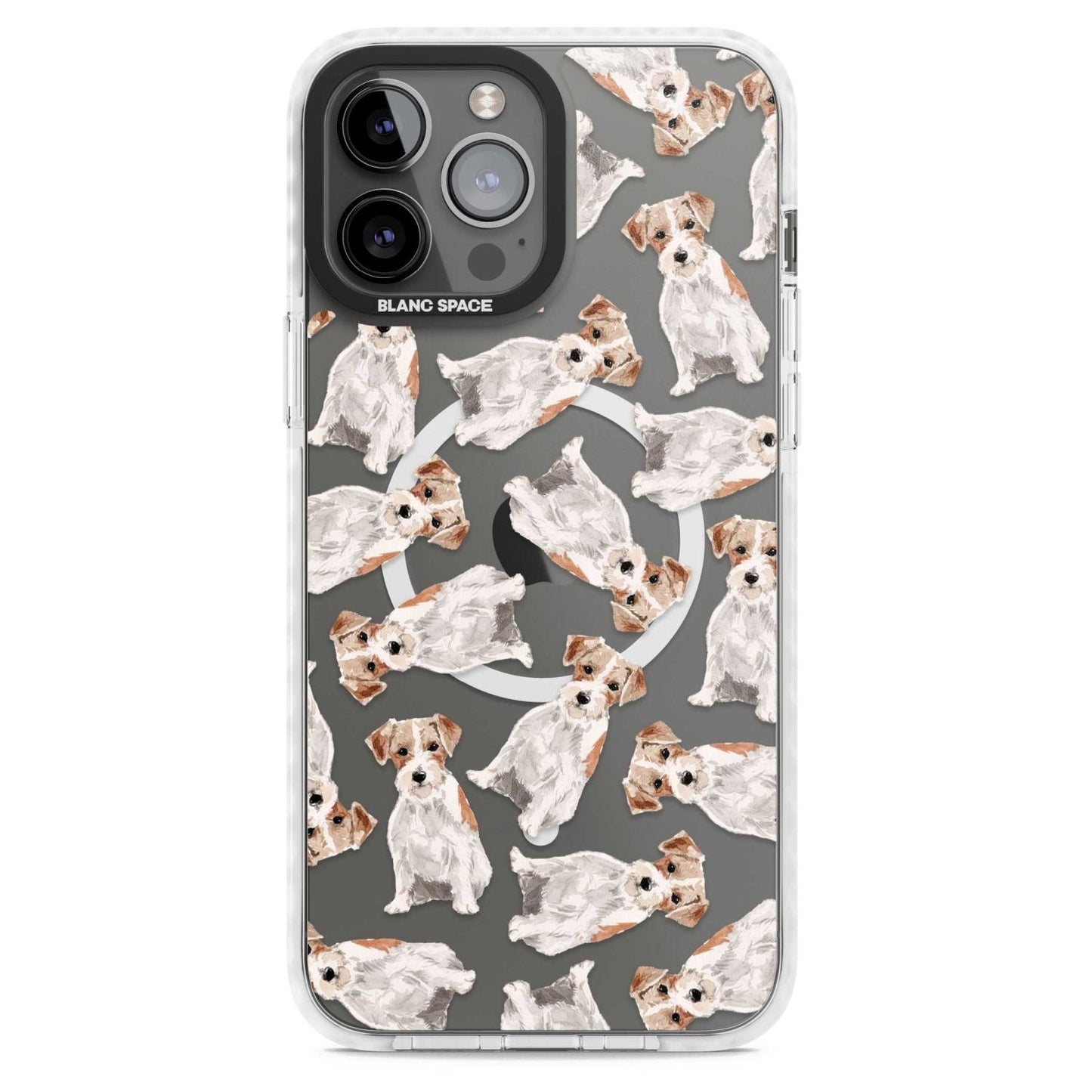 Jack Russell à poil dur fantaisiste