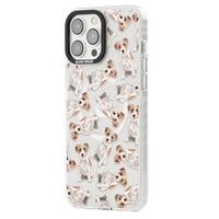 Jack Russell à poil dur fantaisiste