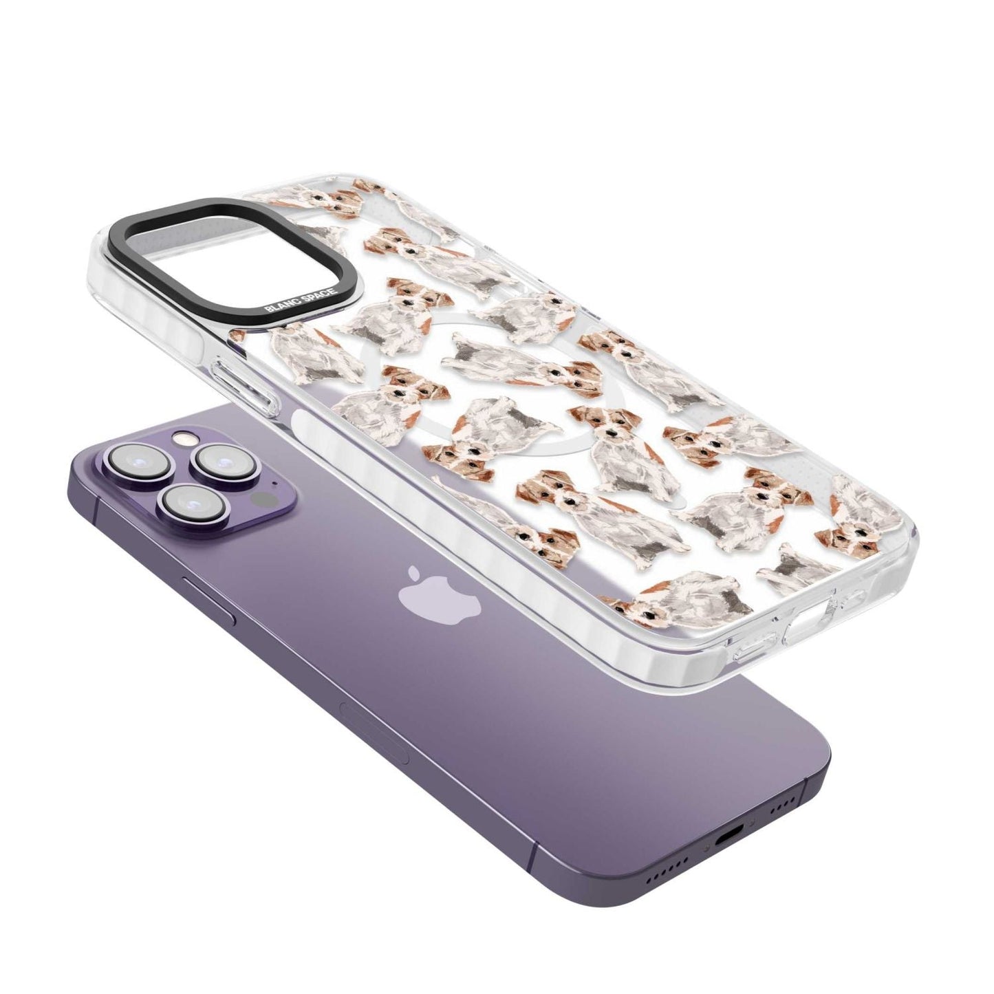 Jack Russell à poil dur fantaisiste