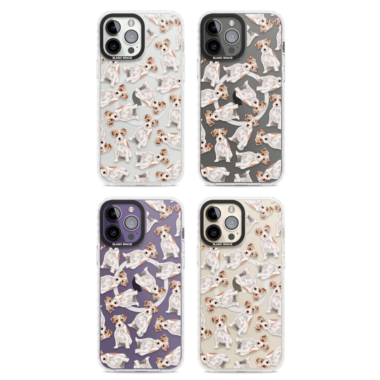 Jack Russell à poil dur fantaisiste