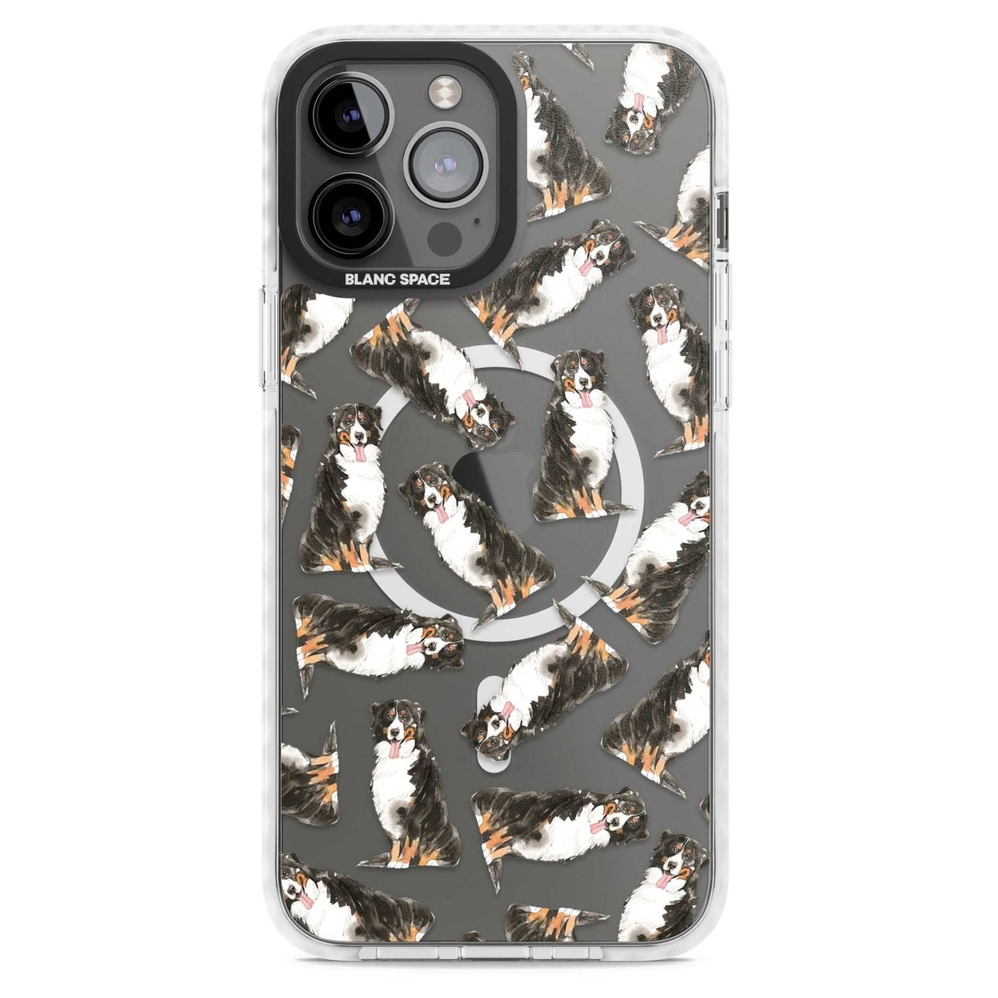 Motif du Bouvier Bernois