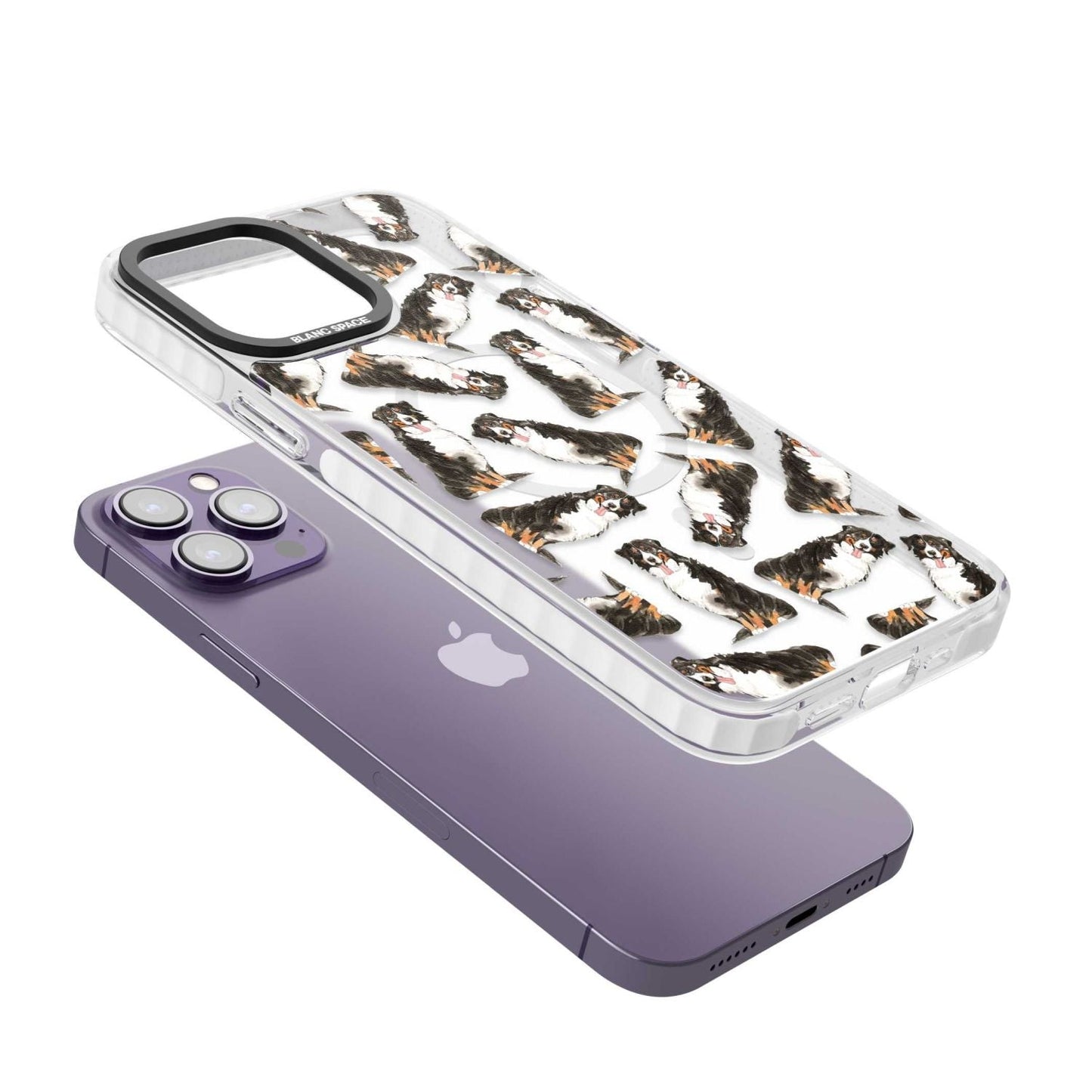 Motif du Bouvier Bernois