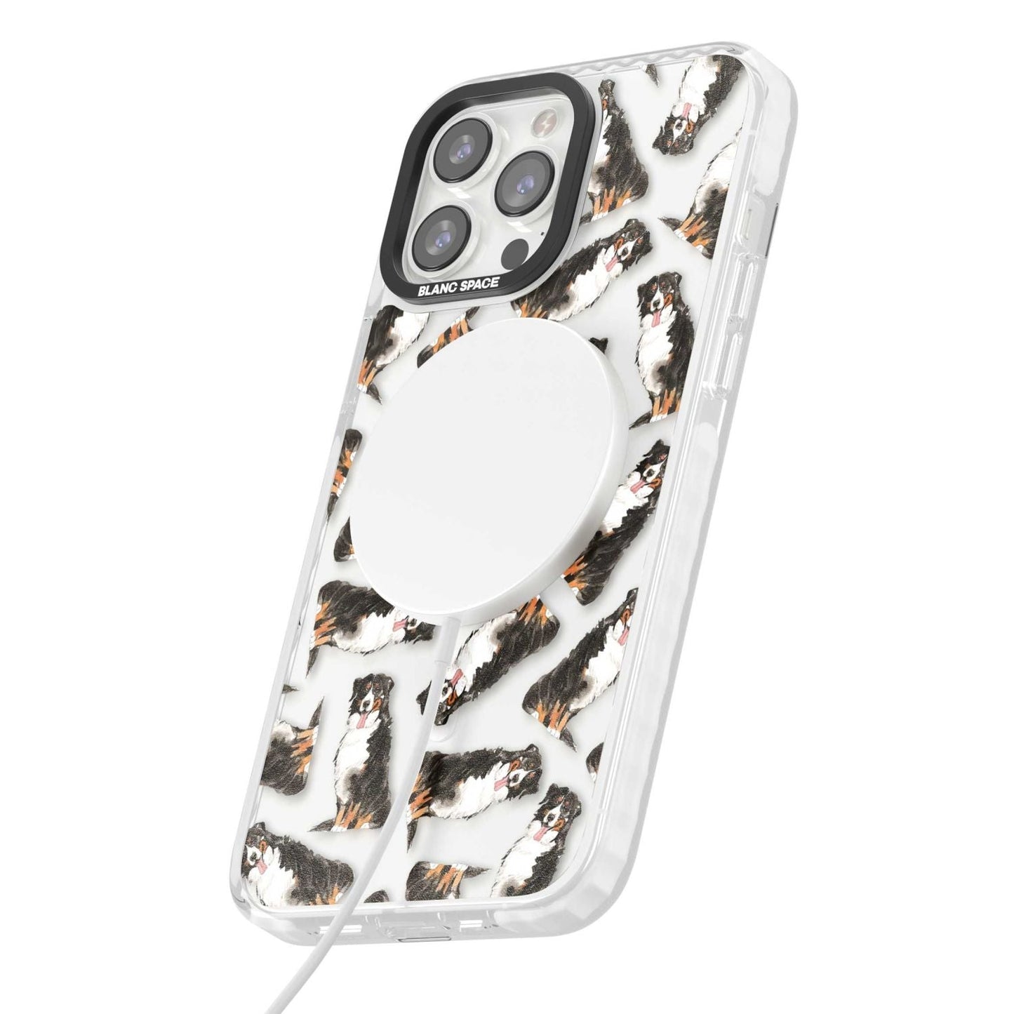 Motif du Bouvier Bernois