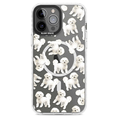 Bichon frisé aquarelle