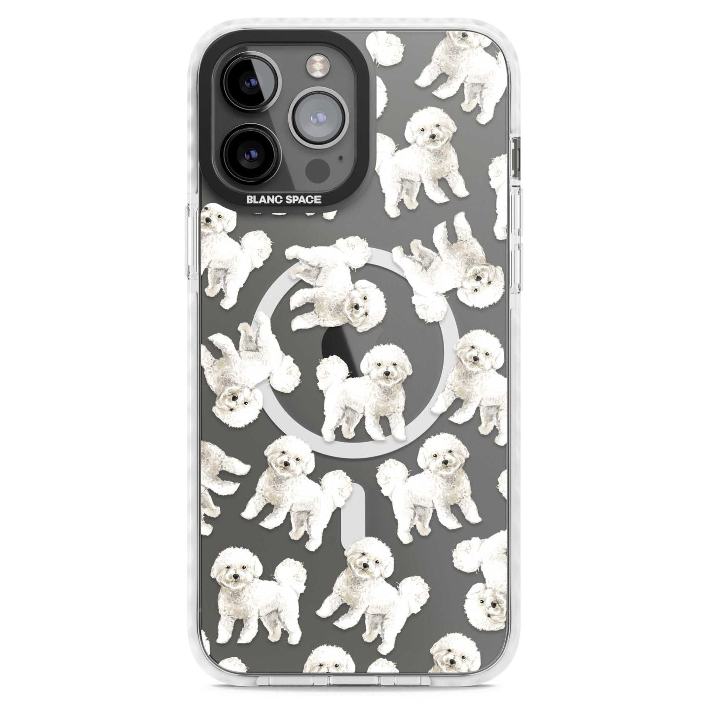 Bichon frisé aquarelle