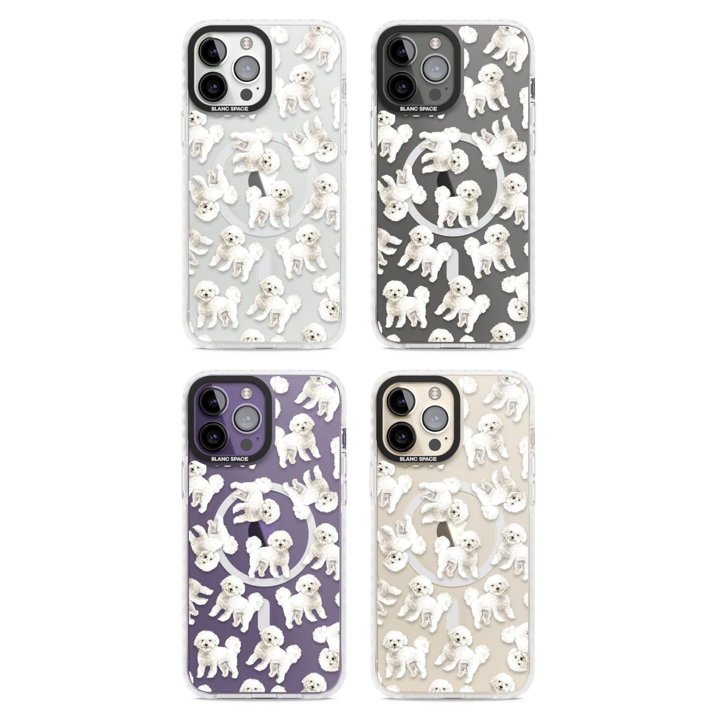 Bichon frisé aquarelle