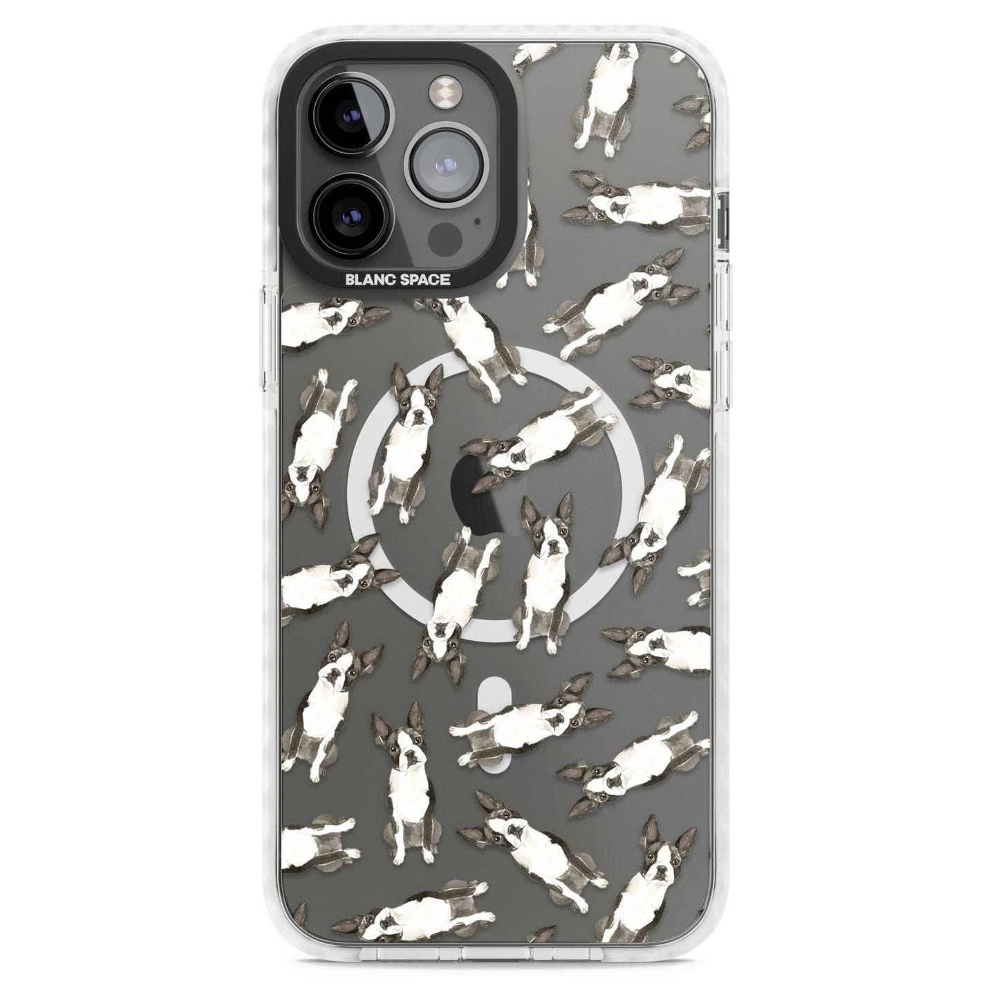 Boston Terrier Aquarell