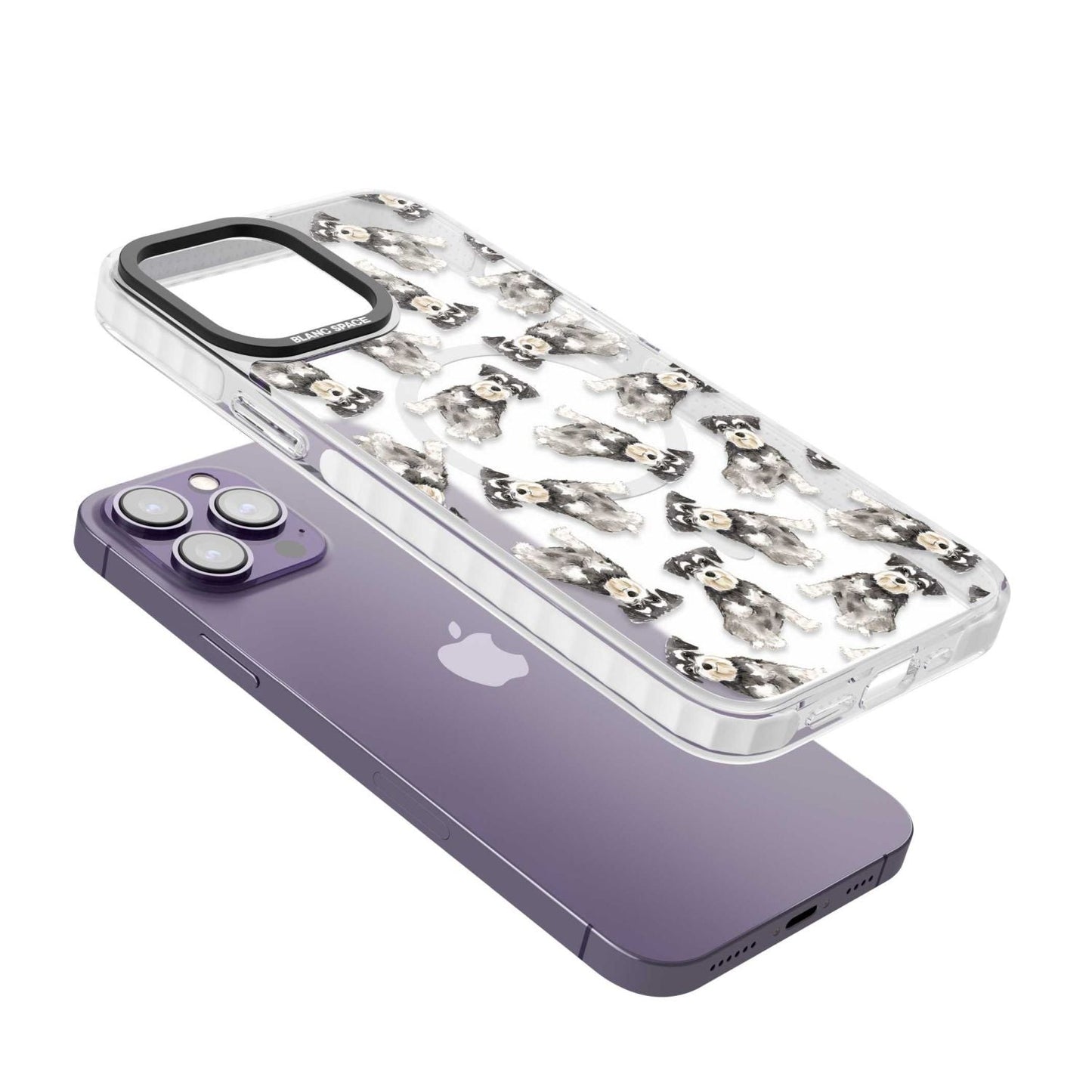 Aquarellzeichnung eines Zwergschnauzers