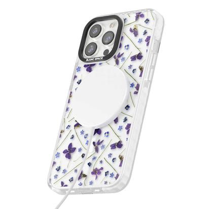 Pressed Violet Flower