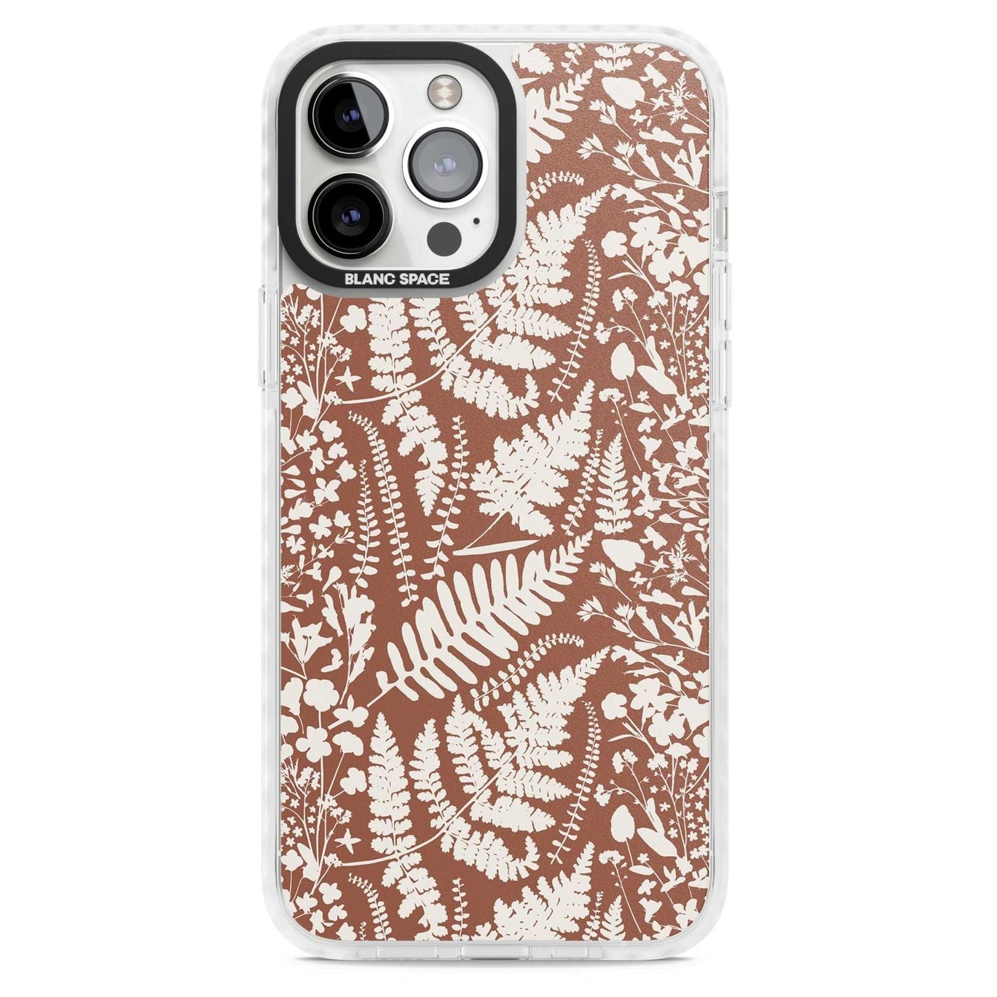 Fleurs sauvages et fougères sur terre cuite