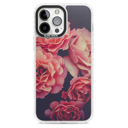 Mitternachtsrosenblüte