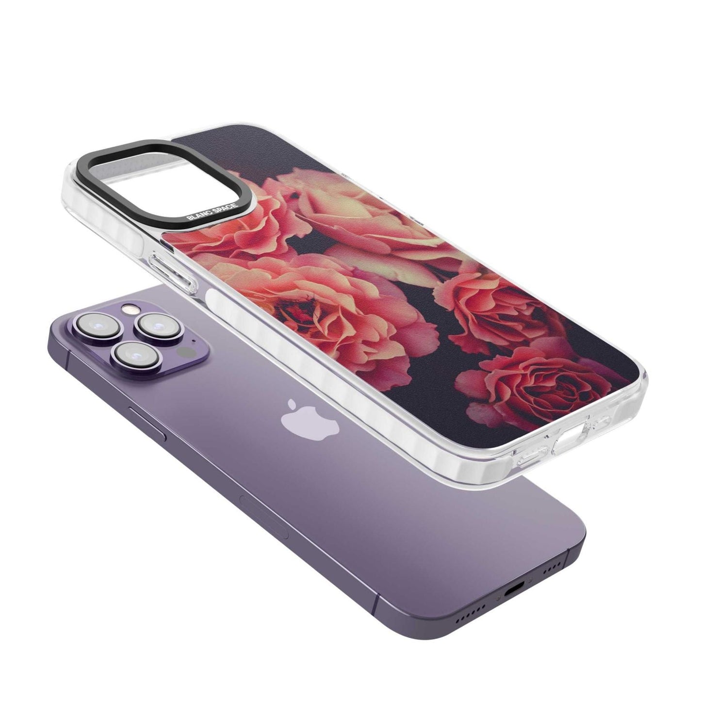 Mitternachtsrosenblüte