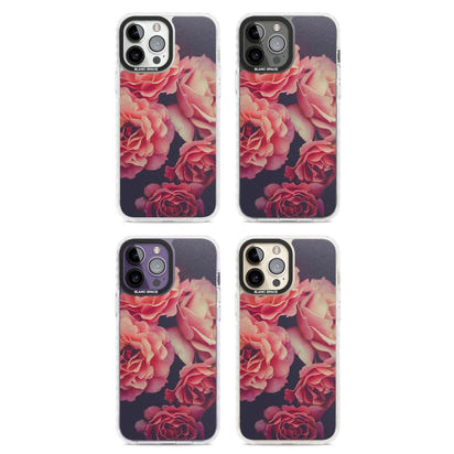 Mitternachtsrosenblüte