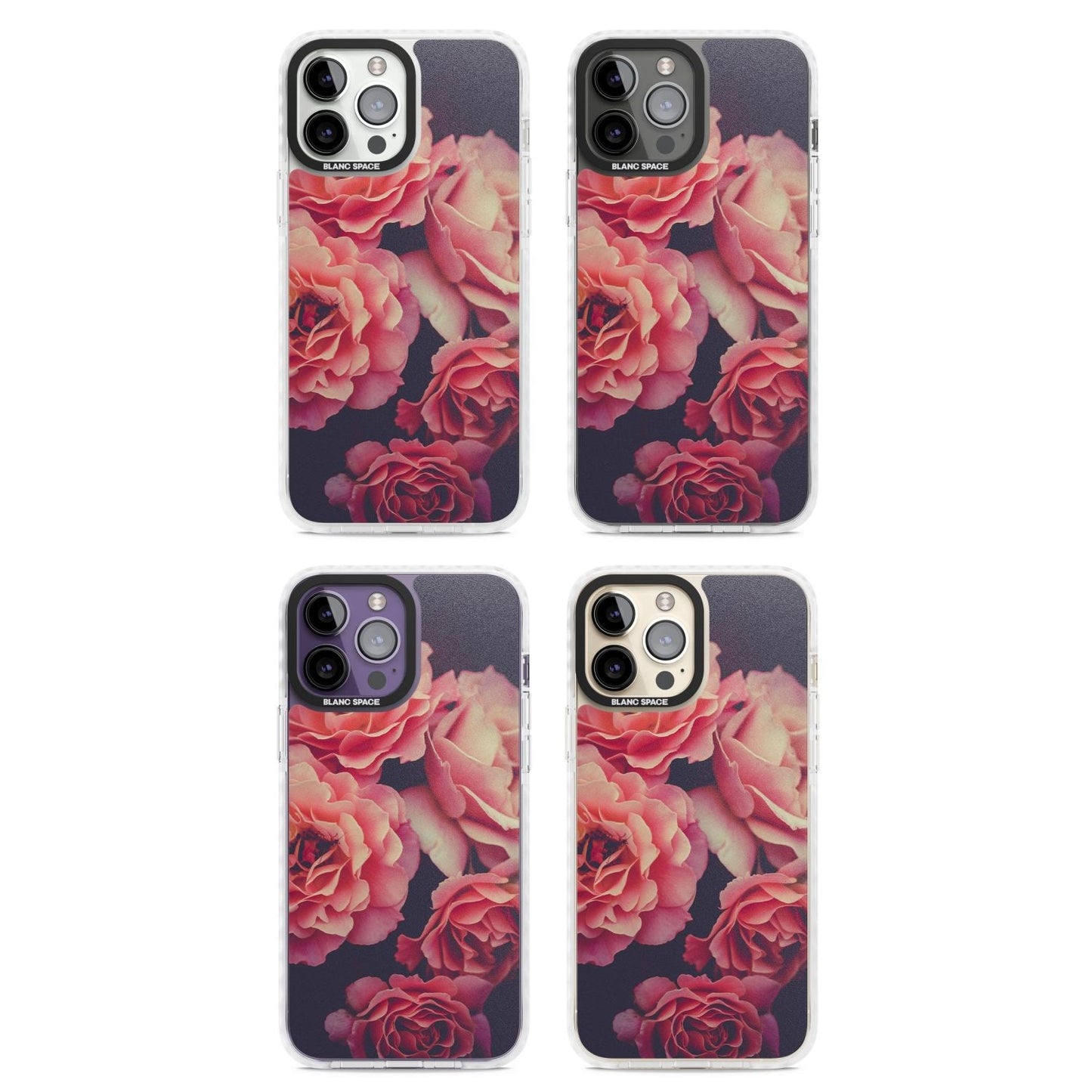 Mitternachtsrosenblüte