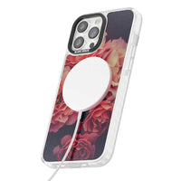 Mitternachtsrosenblüte