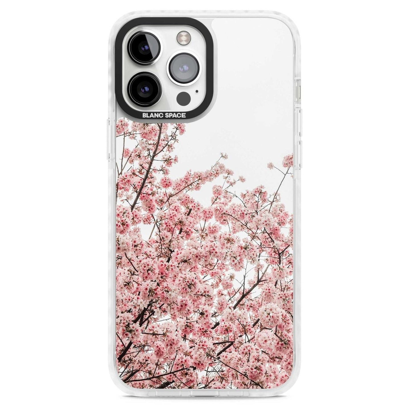 Cherry Blossom Bloom