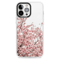 Cherry Blossom Bloom