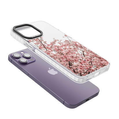 Cherry Blossom Bloom