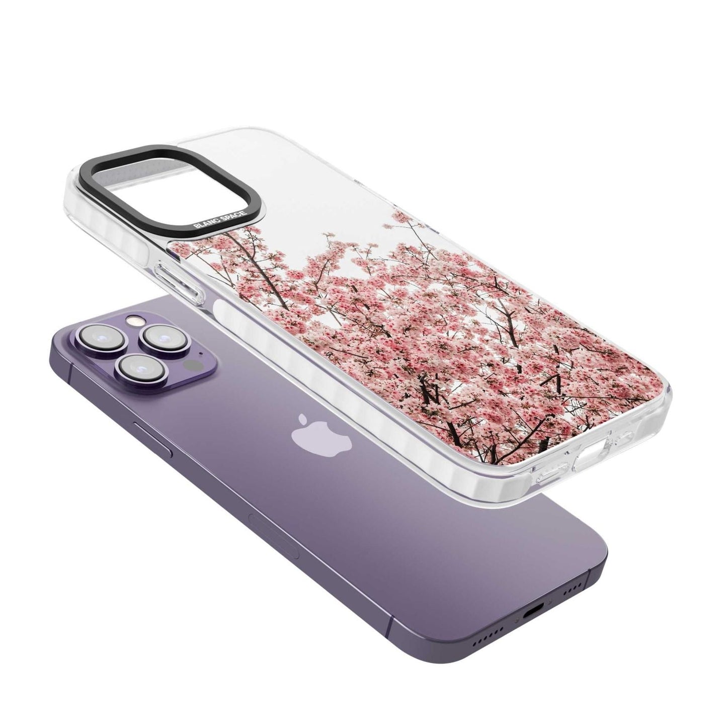 Cherry Blossom Bloom