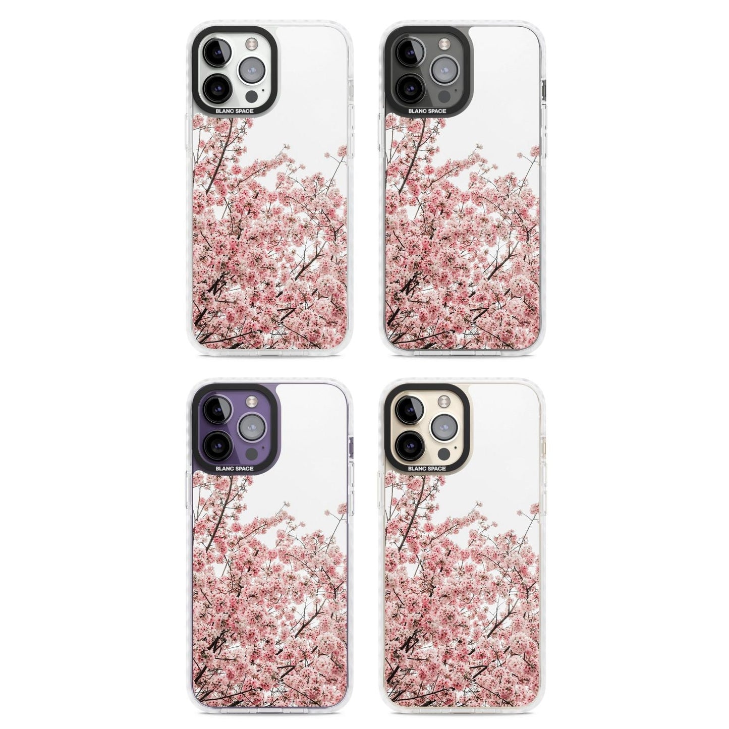 Cherry Blossom Bloom