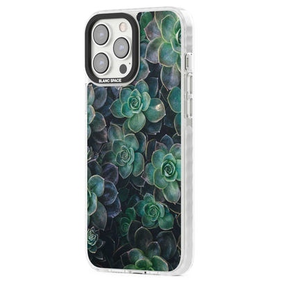 Succulent Bloom Botanical