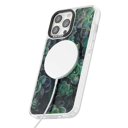 Succulent Bloom Botanical