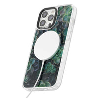 Succulent Bloom Botanical