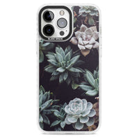 Succulent Bloom Mixed