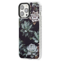 Succulent Bloom Mixed